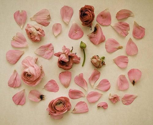 MEMENTO AMARE - fundamental.quest