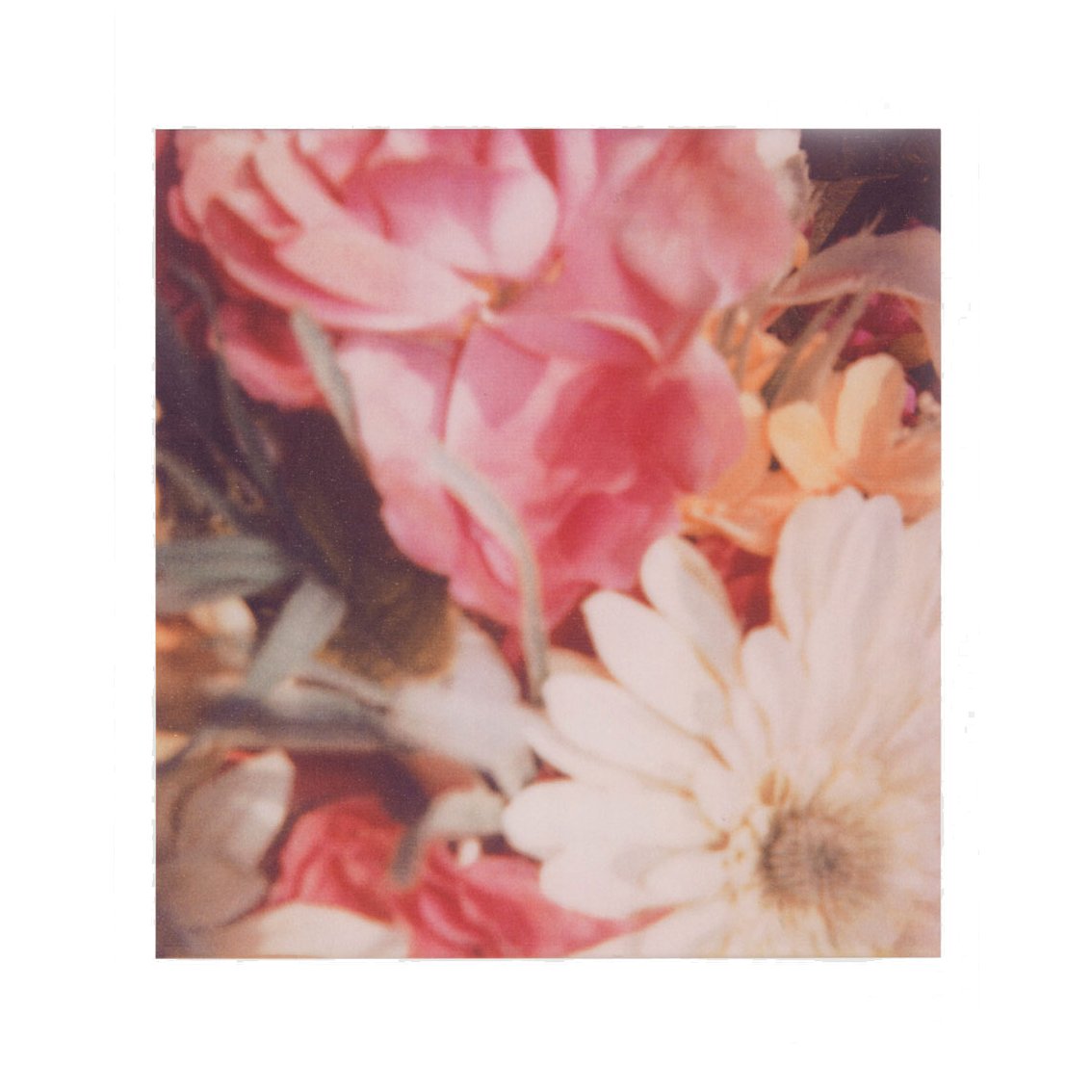 FUNDAMENTAL LOVE - fundamental.quest