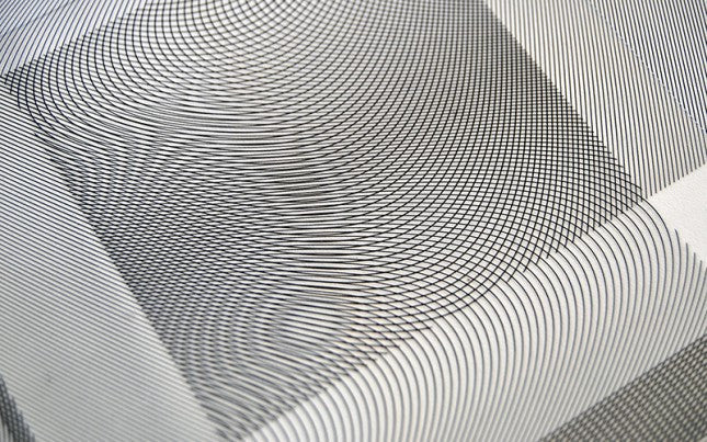 CARSTEN NICOLAI