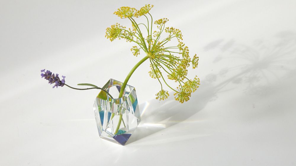 LIVING WITH PLANTS