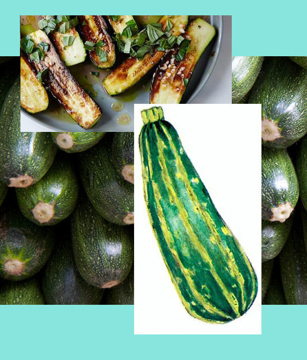 LAZY ZUCCHINIS ARE BEST